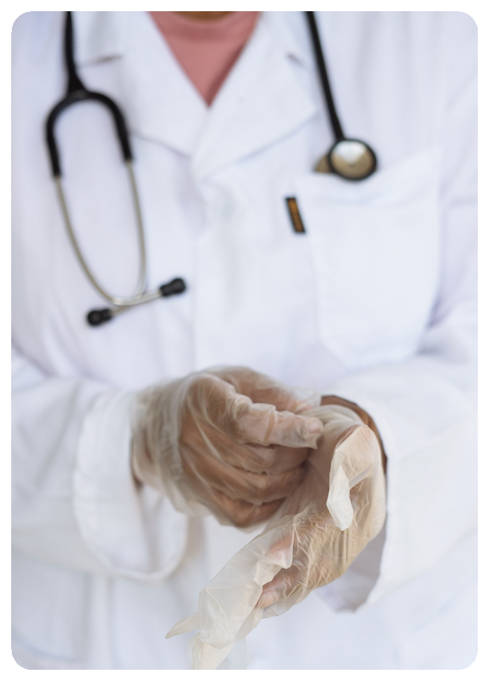 Viver Lim�o - Portal de Produtos e Servi�os